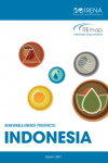 Renewable Energy Prospects: Indonesia - IRENA