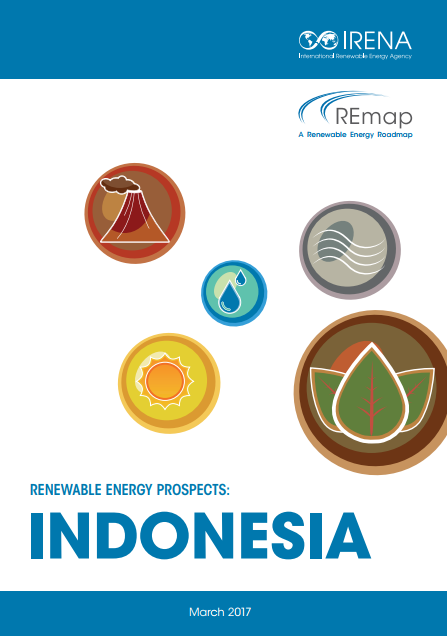 Renewable Energy Prospects: Indonesia - IRENA